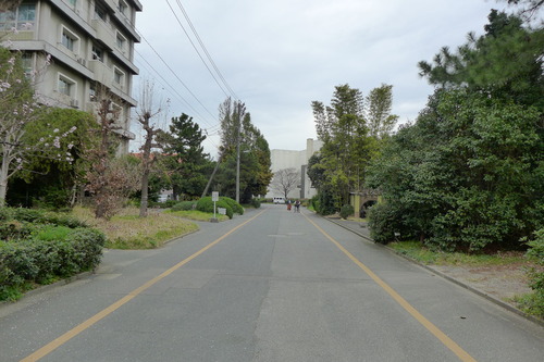 P1160835