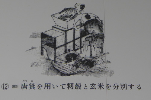 P1190481