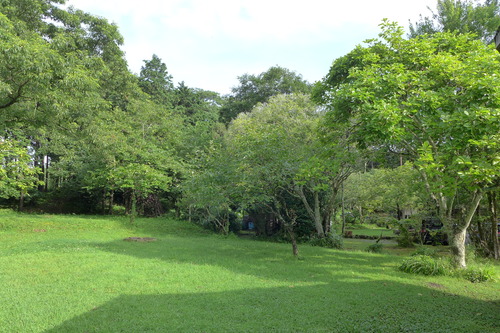 P1160107