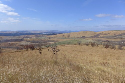 P1100088
