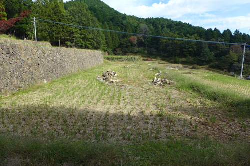 P1250879
