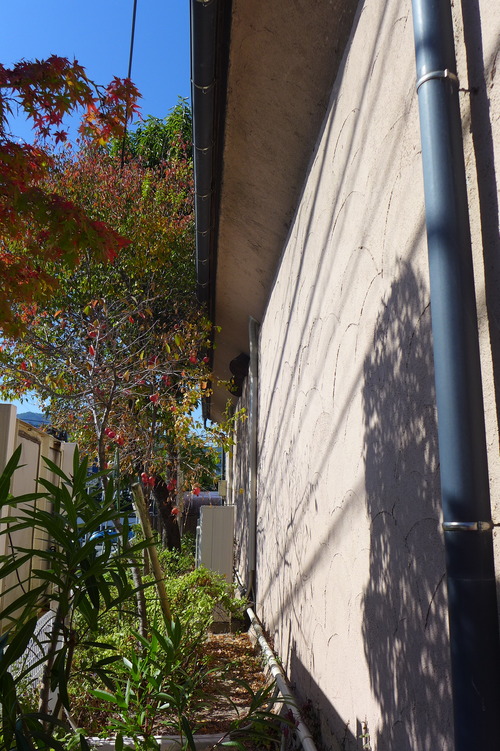 P1270524