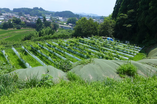 P1280345