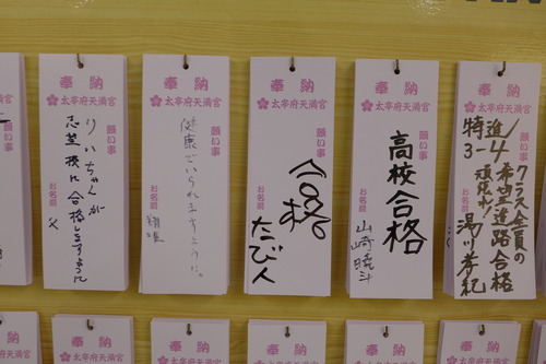 P1070461