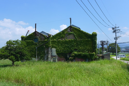 P1070629