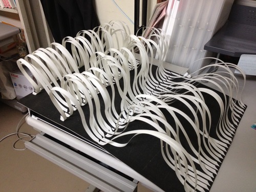IMG_2573