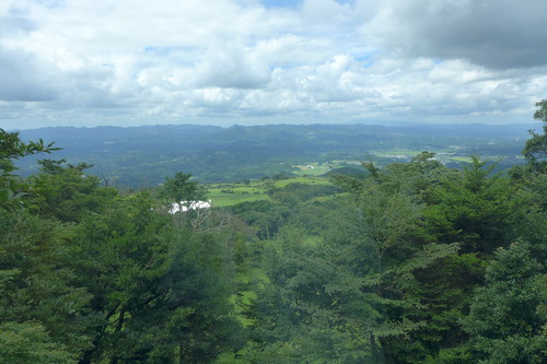 P1150856