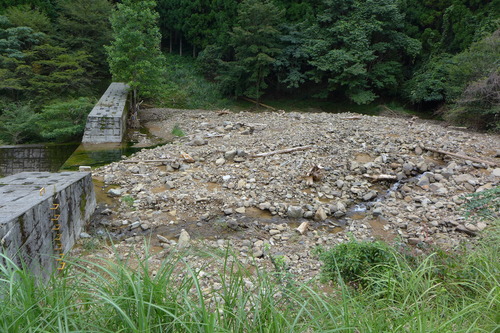 P1200284