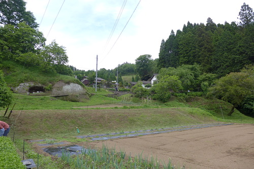 P1150768