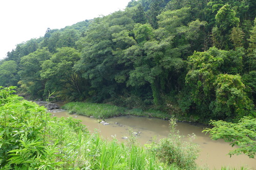 P1100826
