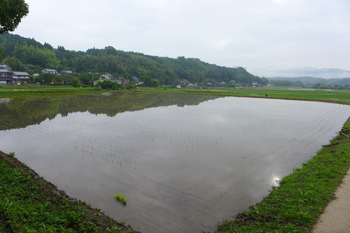 P1110420