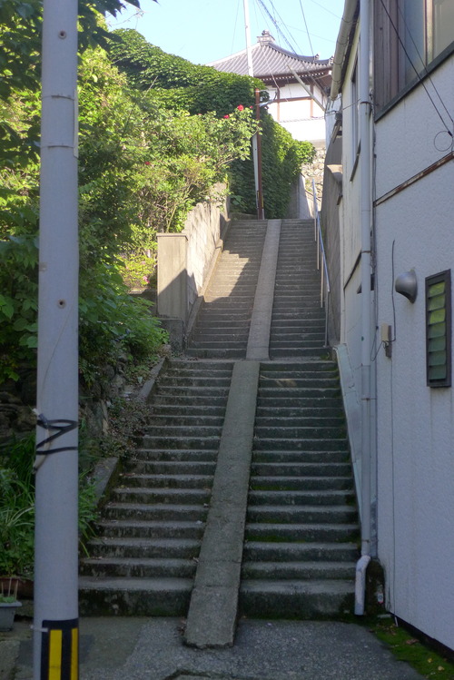 P1540123