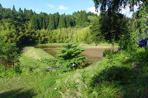 P1150854