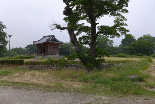 P1080238
