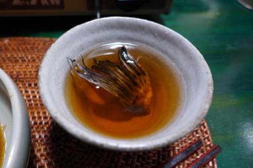 P1050274