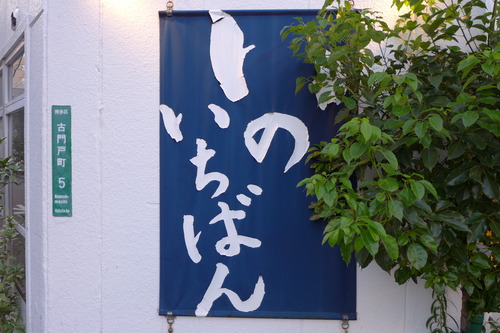 P1150819