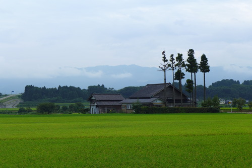 P1080981
