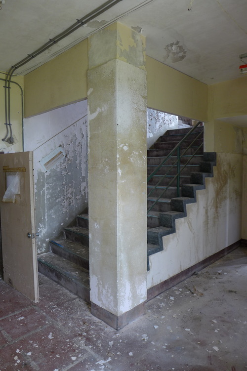 P1130193