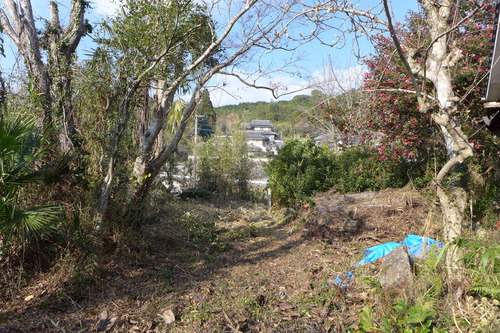 P1060346