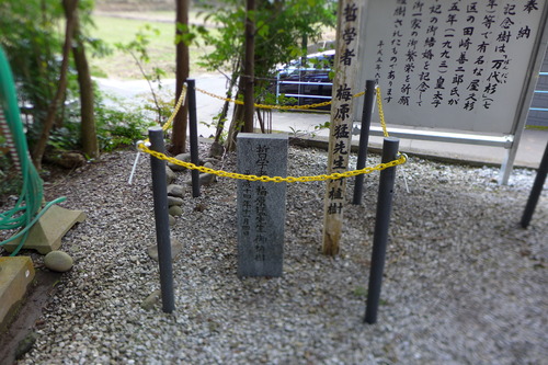 P1630292のコピー