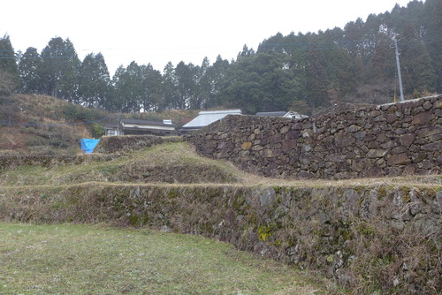 P1020750