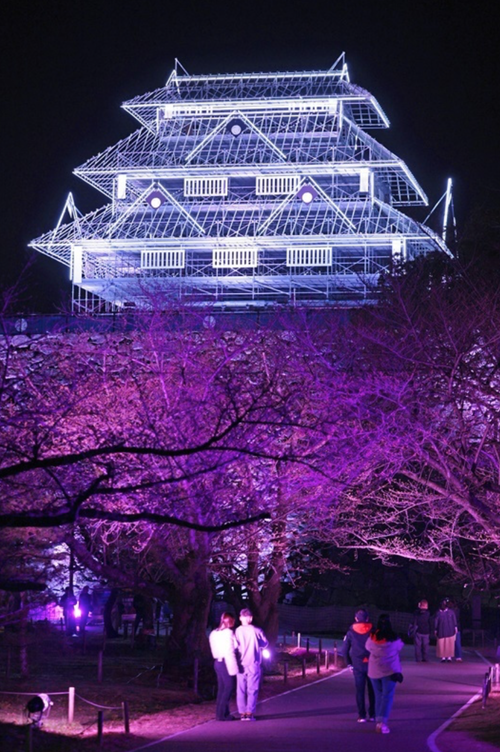 スクリーンショット 2024-12-12 13.42.38