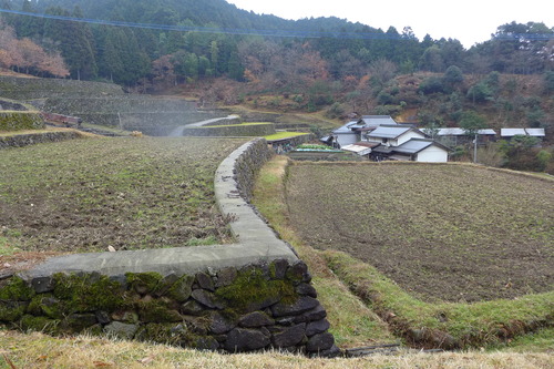 P1520575