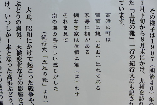 P1020658