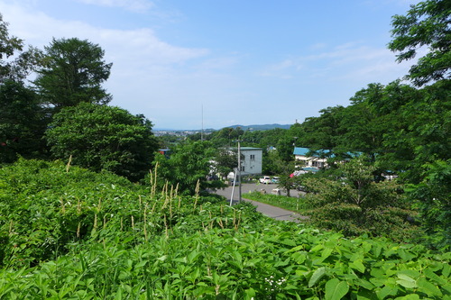 P1130201