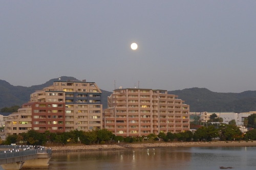 P1380498