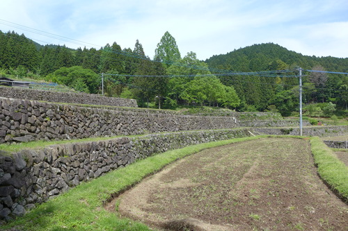 P1110237