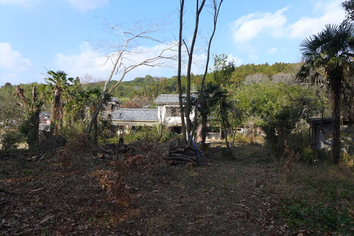 P1060348