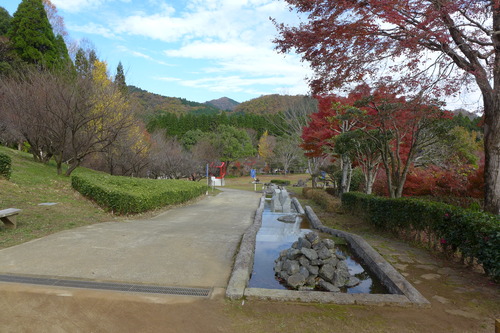 P1010393