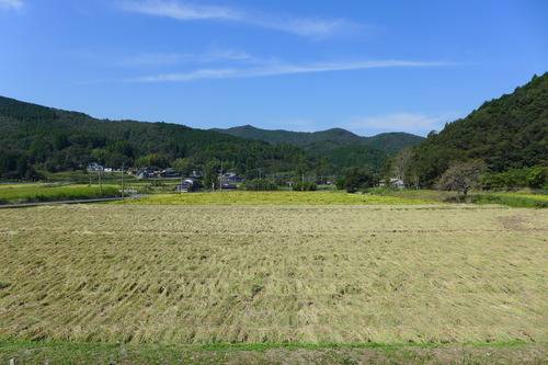 P1180690