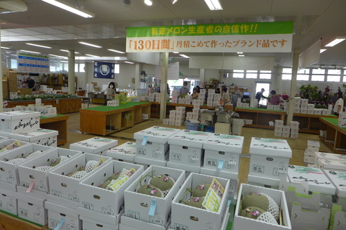 P1130747
