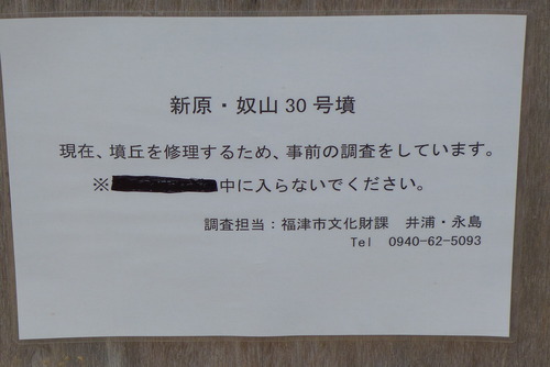 P1130052
