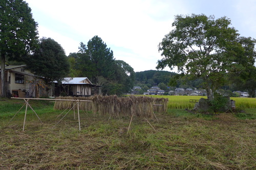 P1190234
