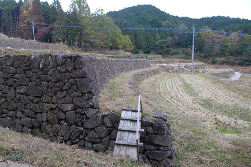P1280889