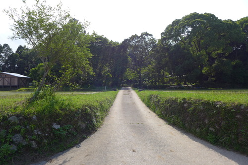 P1110361