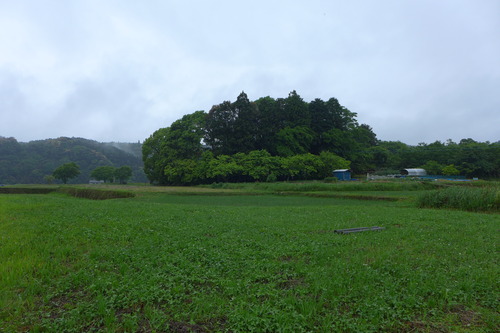 P1070849