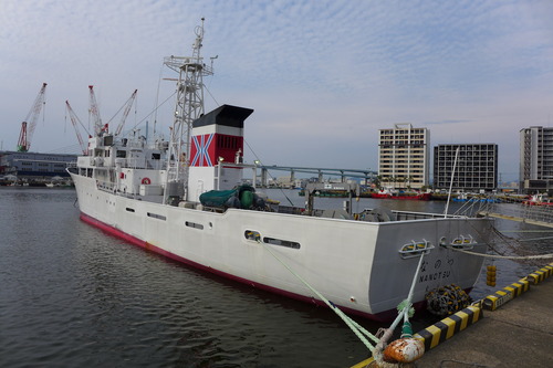 P1140554