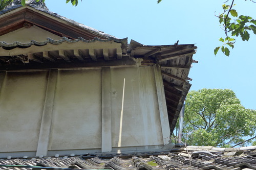 P1120008