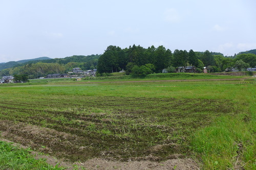 P1100820