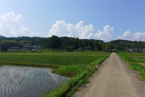 P1110326