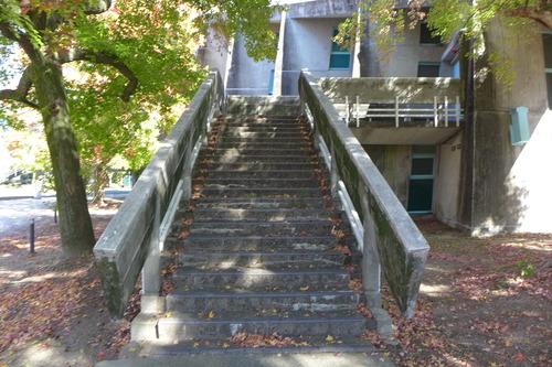 P1270629