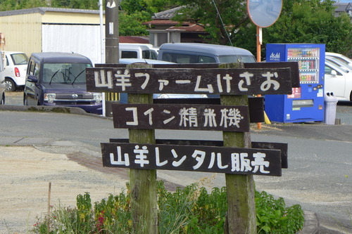 P1130679