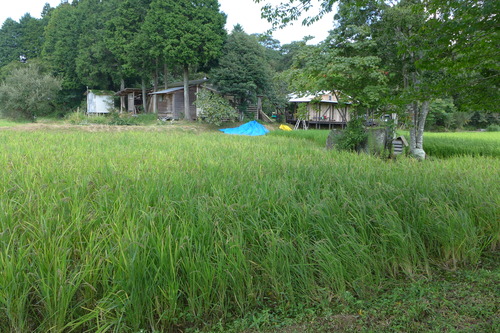 P1170293