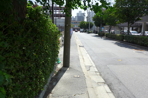 P1320695