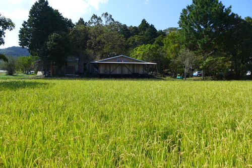 P1180958