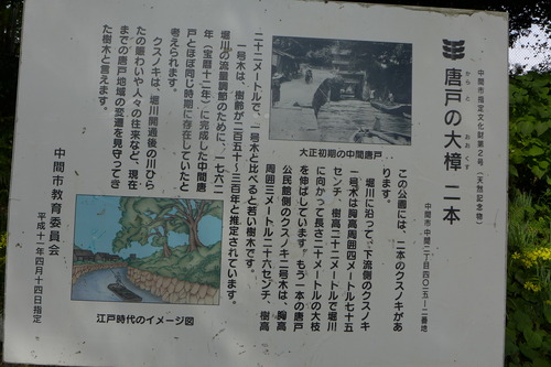 P1500266